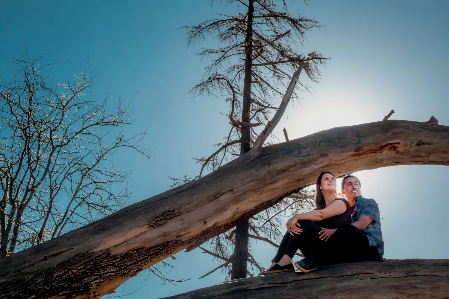 Couple sitting together under a curved fallen log against a bright blue sky with bare trees.