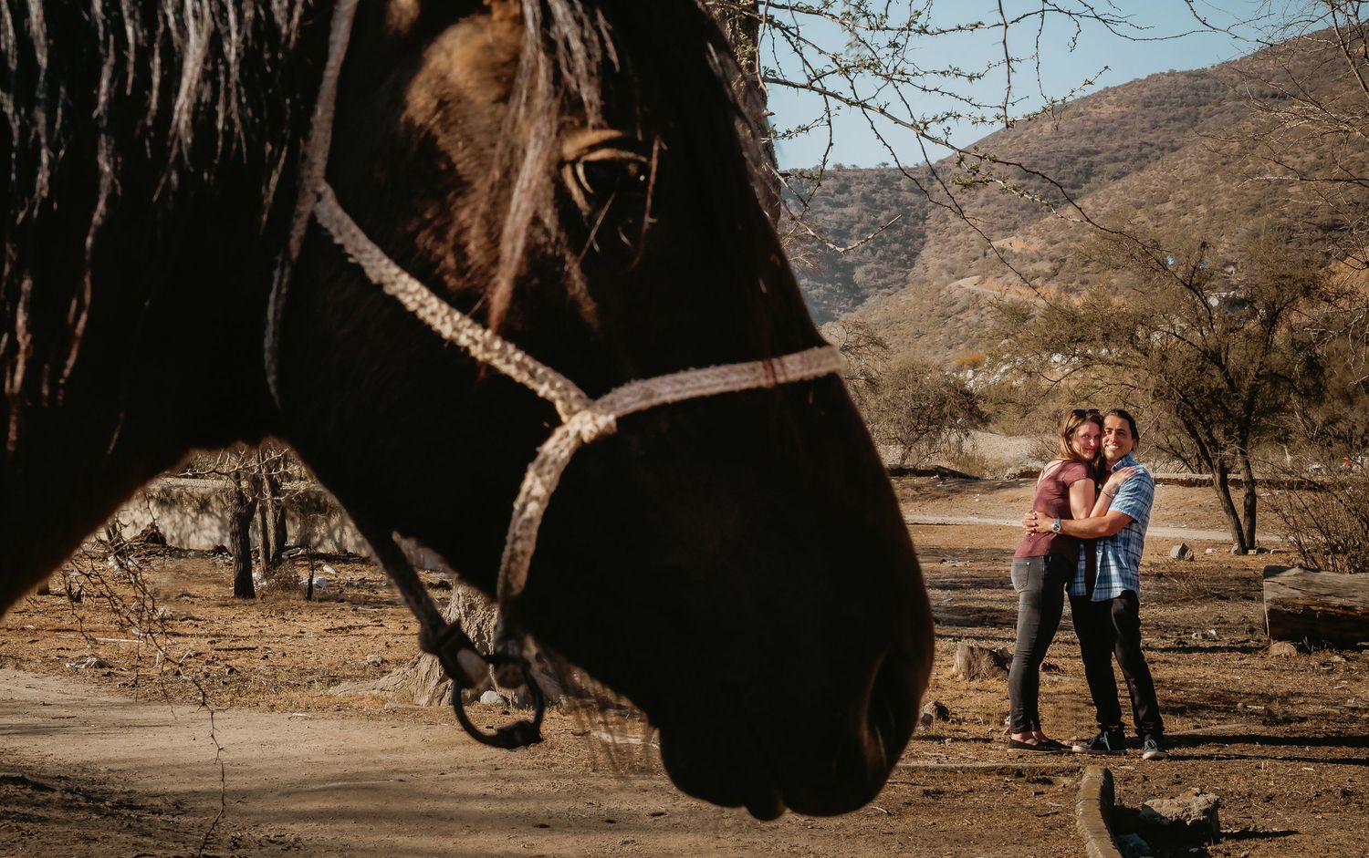 Close-up of dark horse head with couple embracing in background in arid landscape.