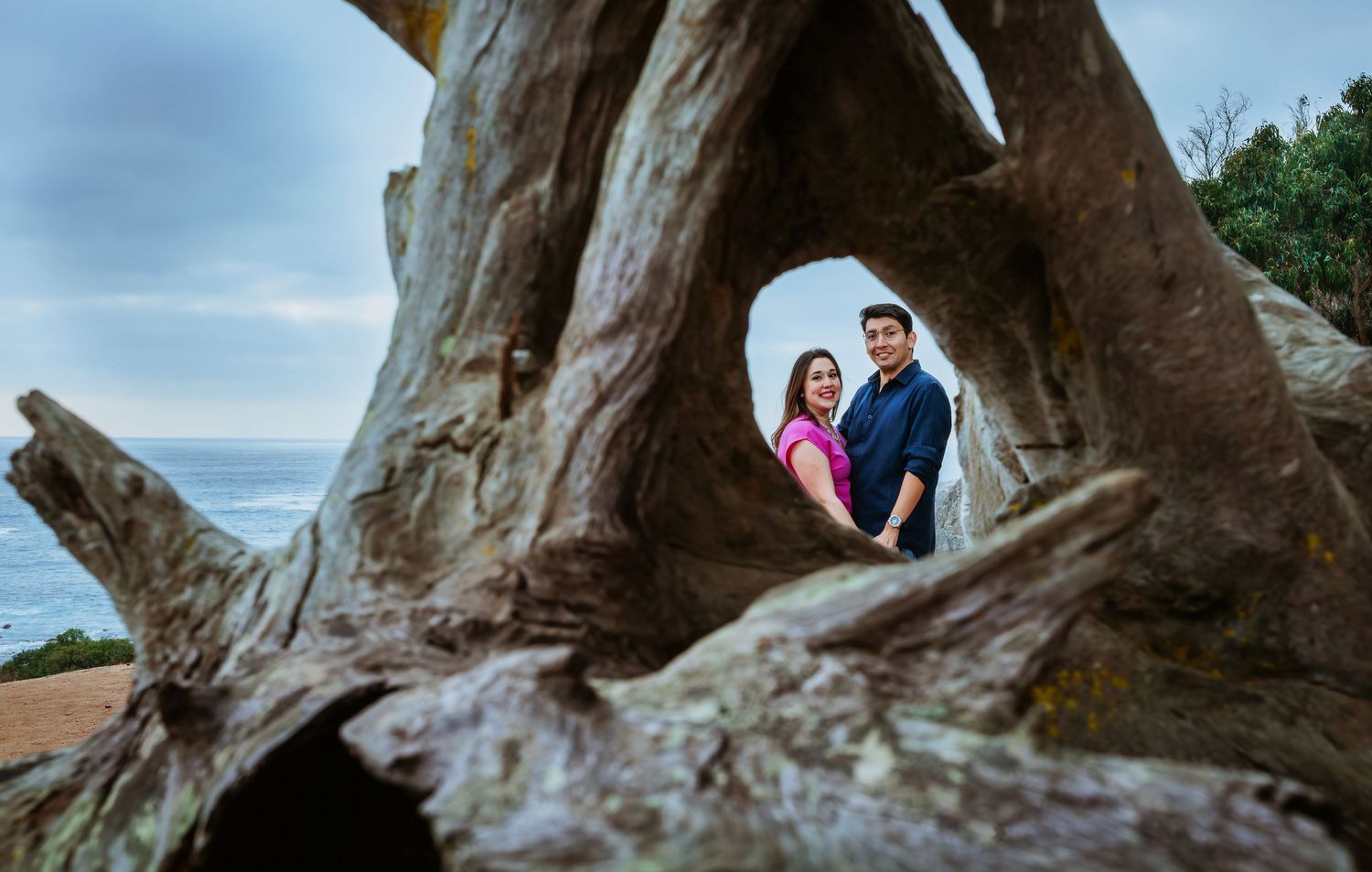 Couple posing romantically through a hollow driftwood sculpture with ocean views in the background.