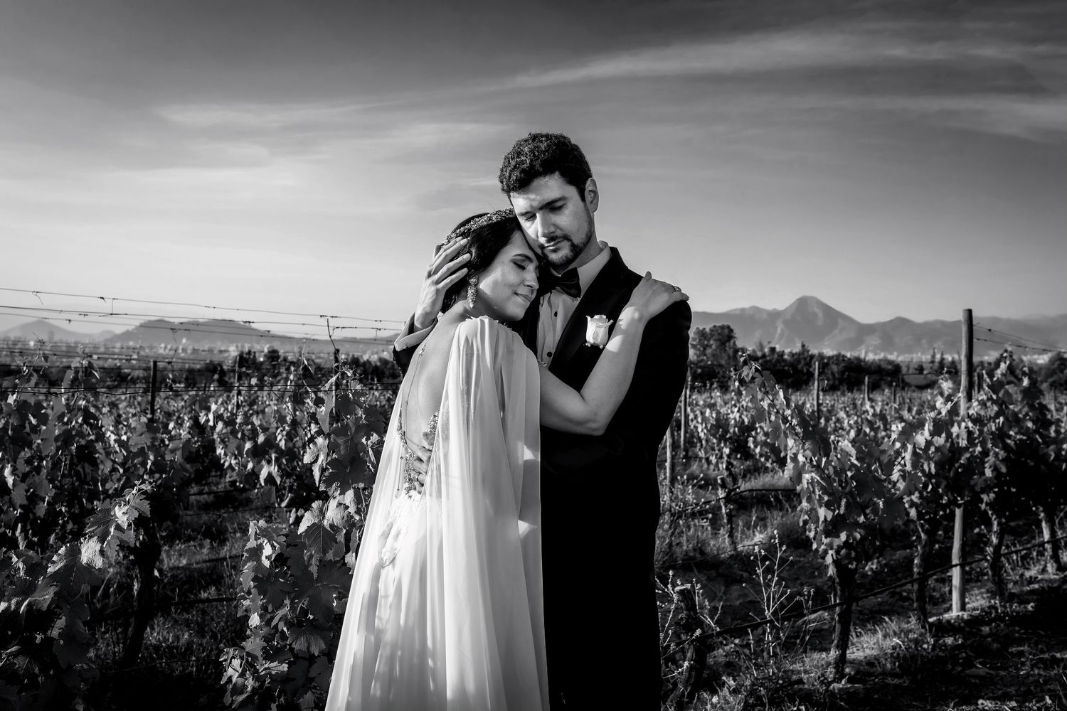 Black and white photo of bride and groom embracing in a vineyard with mountains in the background.
