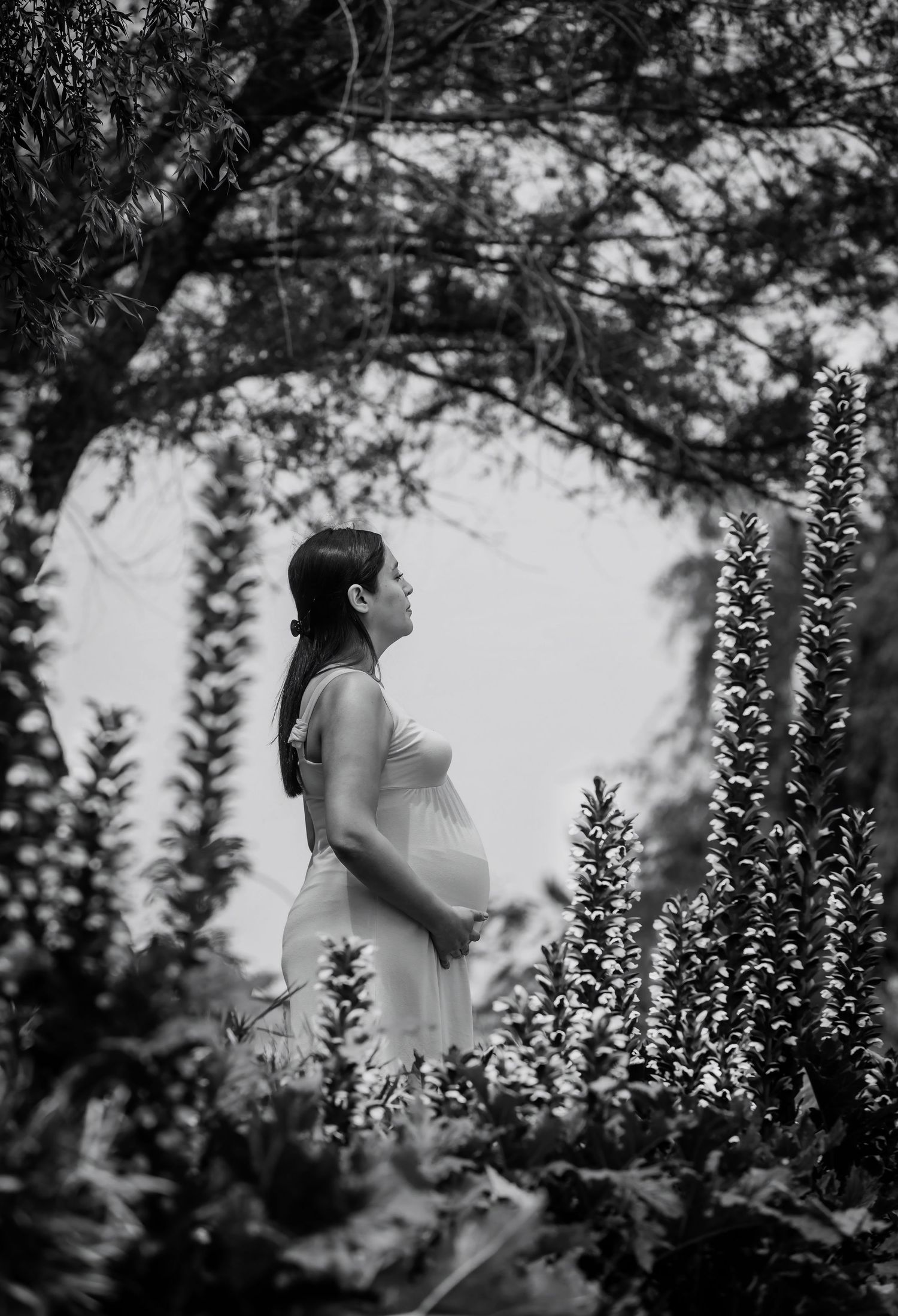 Black and white photo of a pregnant woman in a white dress standing among tall garden flowers and trees.