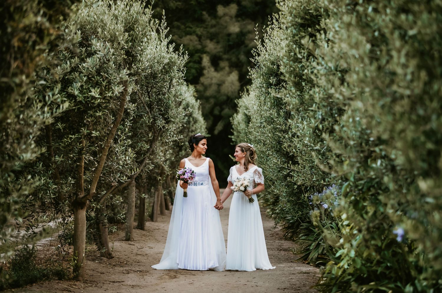 Two brides in white gowns walk hand in hand through a scenic olive tree-lined pathway.