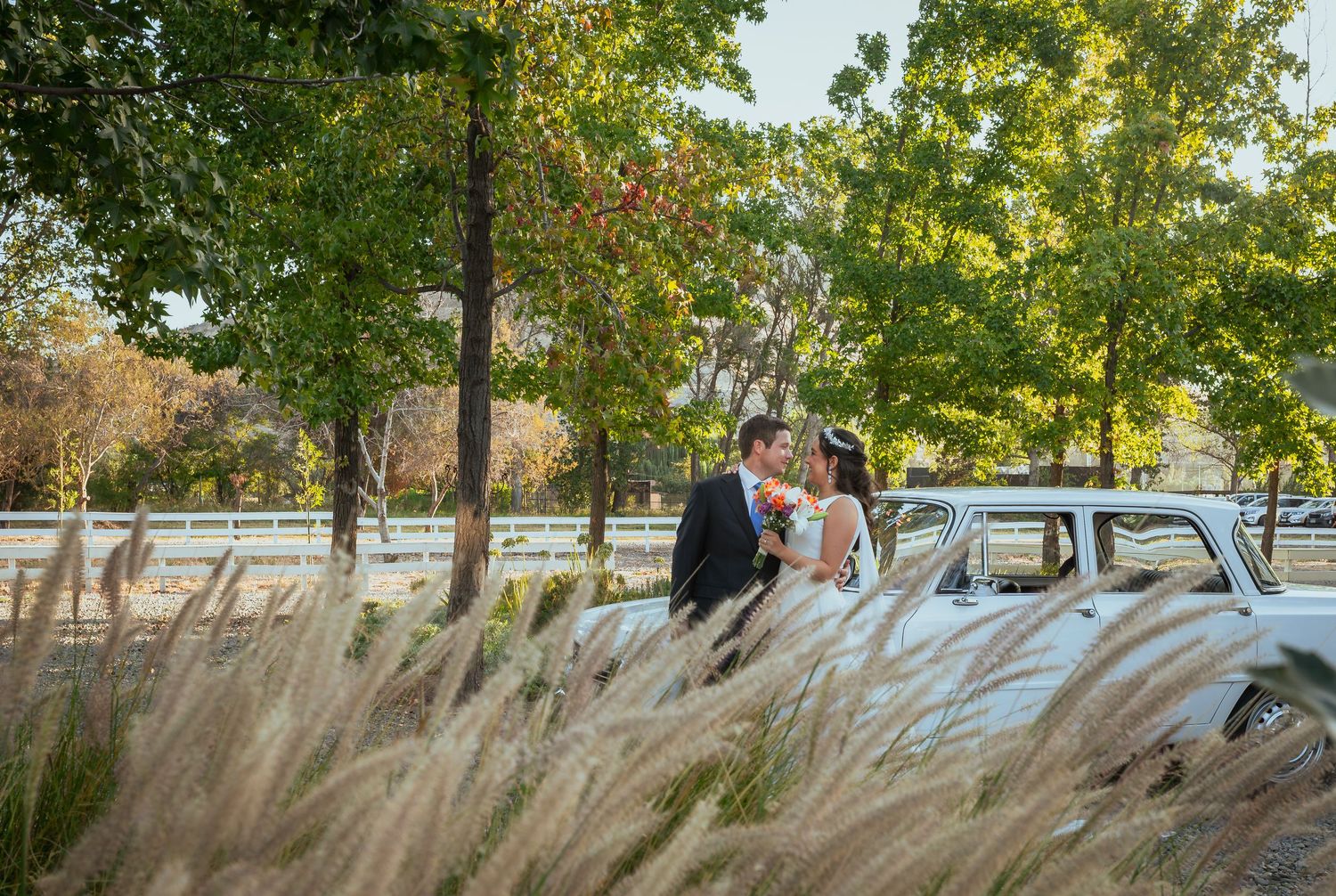 Bride and groom share romantic kiss near vintage white car among tall grass and trees.