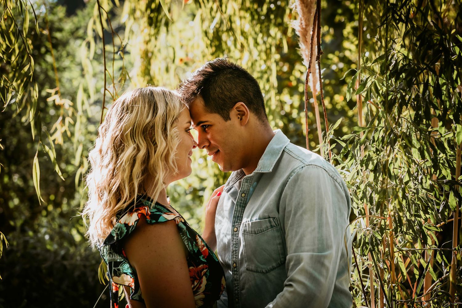 A couple shares a romantic moment surrounded by lush green weeping willow branches in a sunlit outdoor setting.