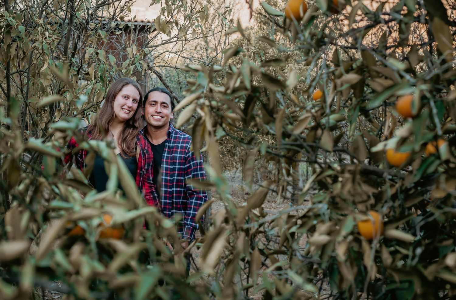 A happy couple embraces and smiles while surrounded by orange fruit trees in a garden setting.