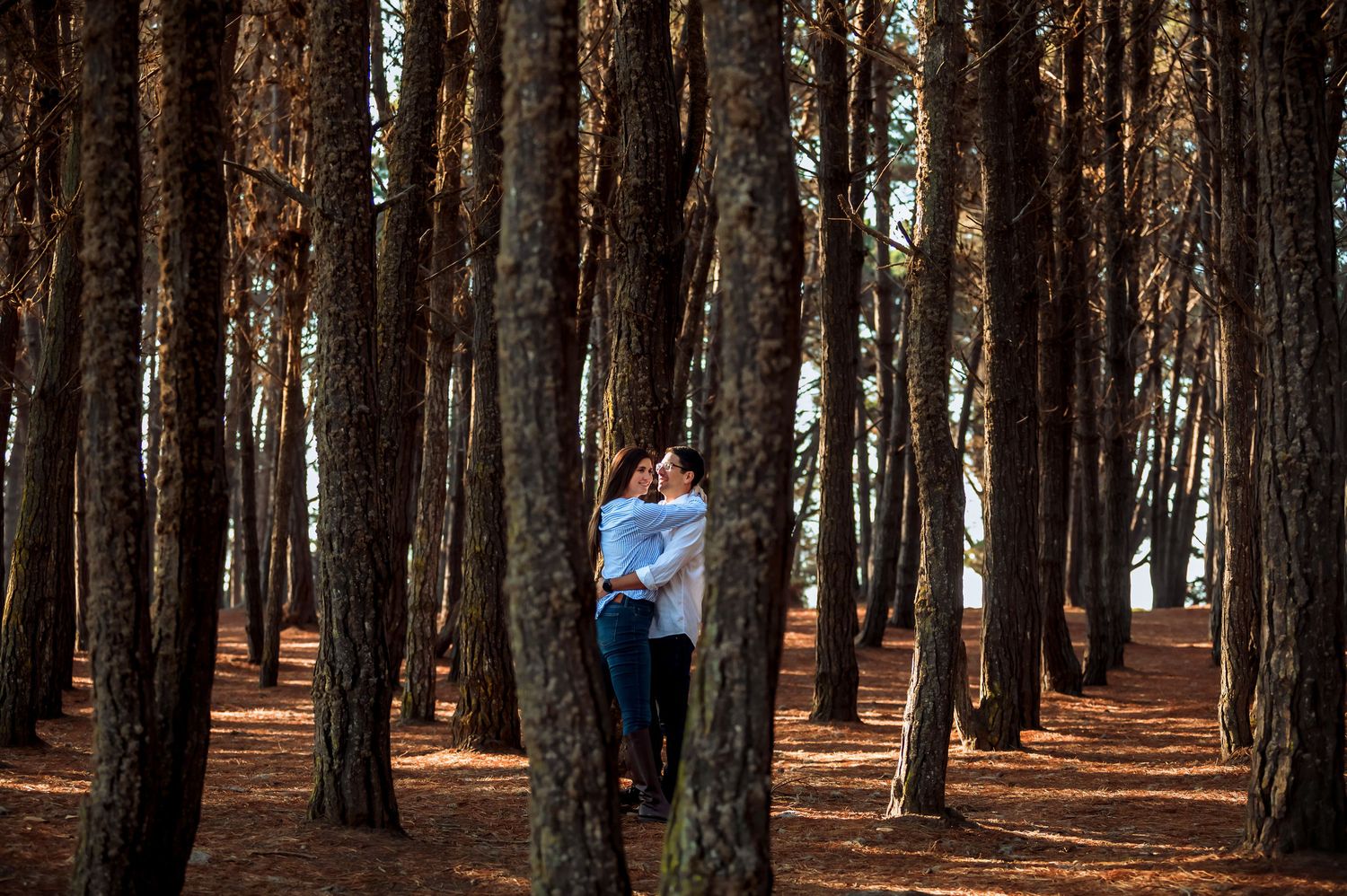 A romantic couple sharing a kiss while embracing between tall pine trees in a forest.
