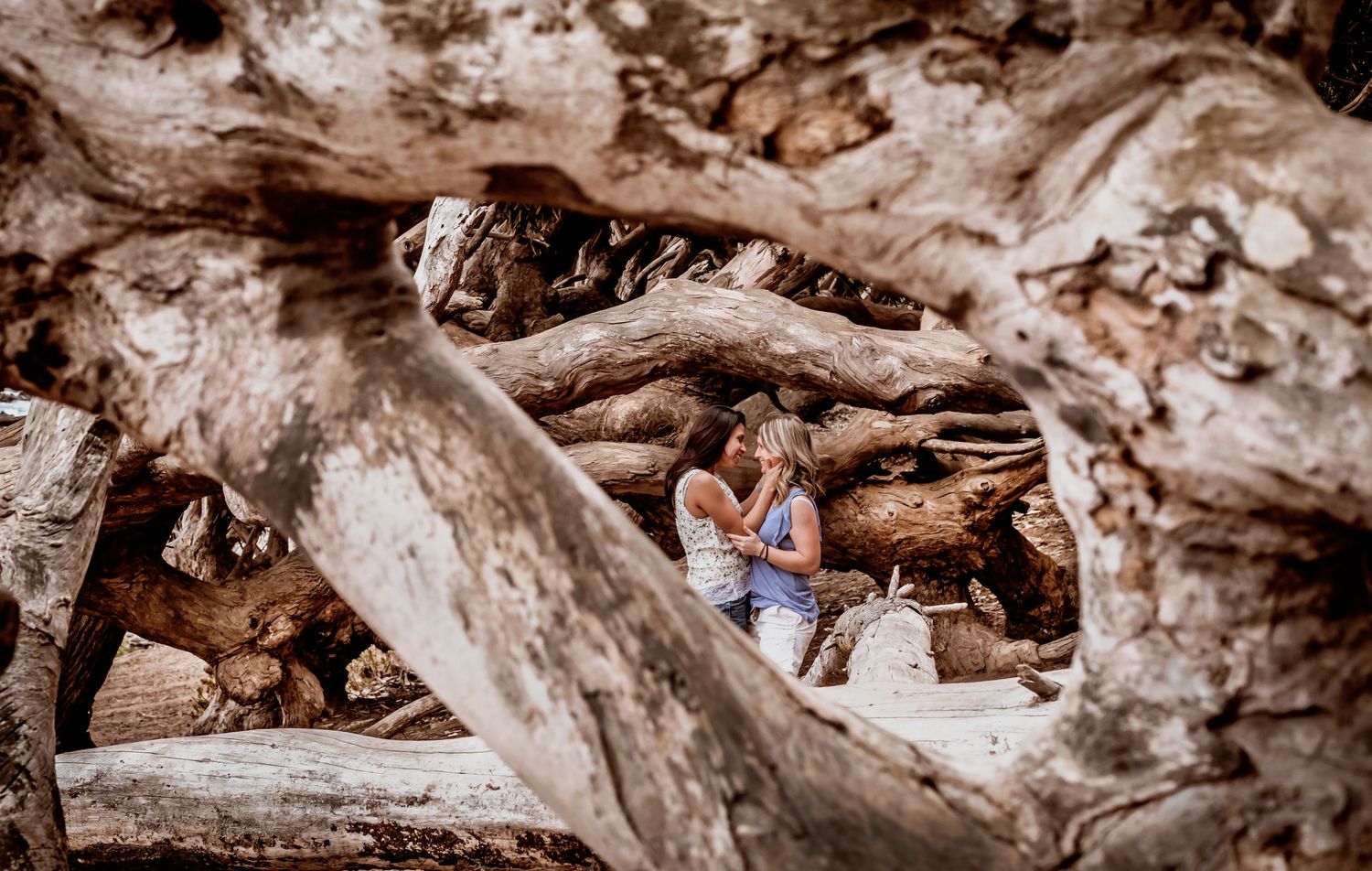 Woman sitting peacefully among massive twisted driftwood roots in a natural outdoor setting.