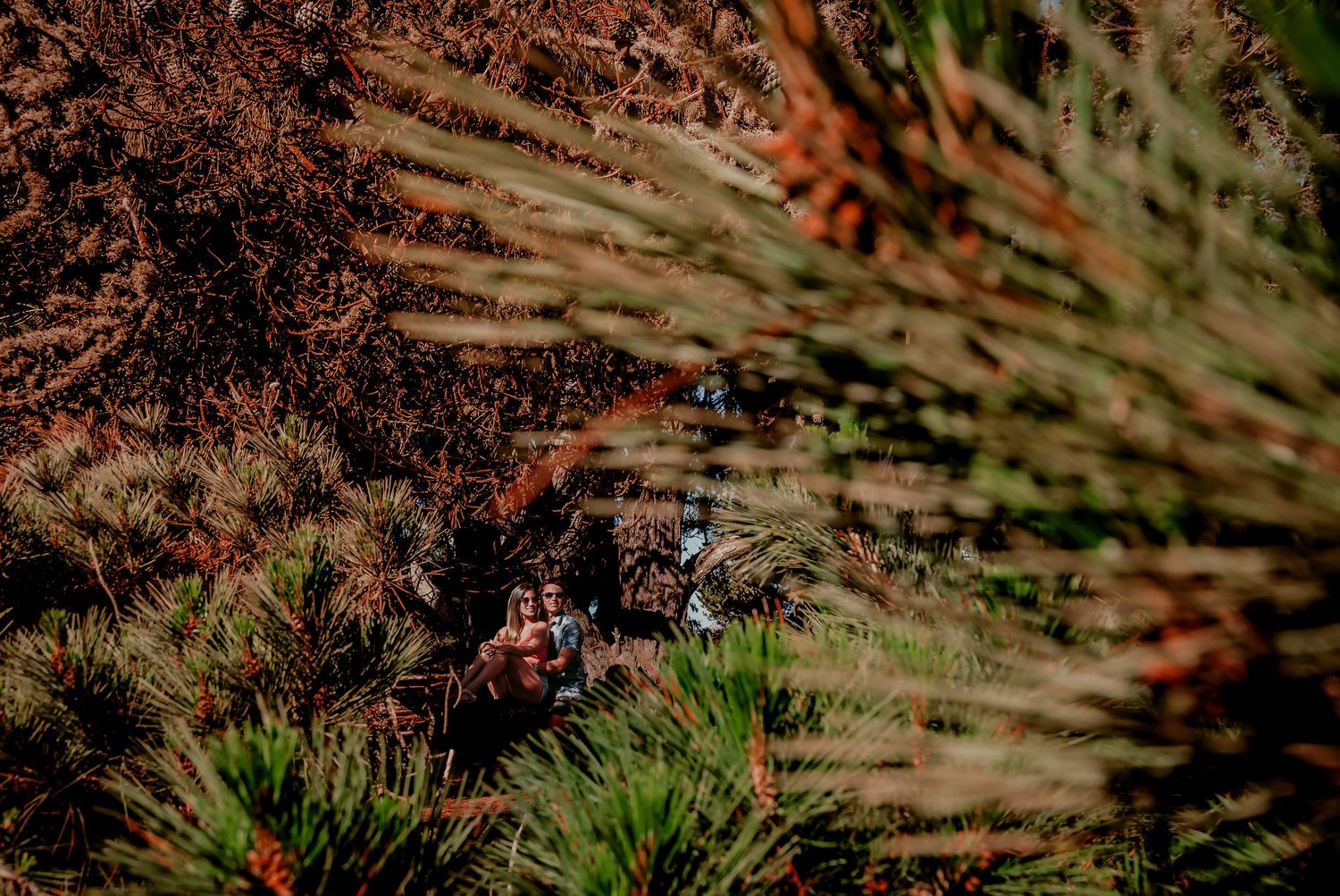 Couple partially visible through blurred pine branches in a dense colorful autumn forest.
