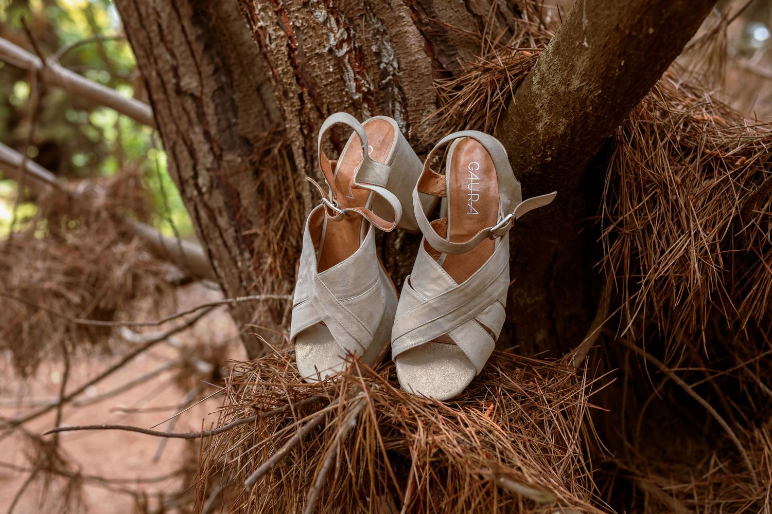Elegant beige strappy wedge sandals resting in pine tree roots outdoors.