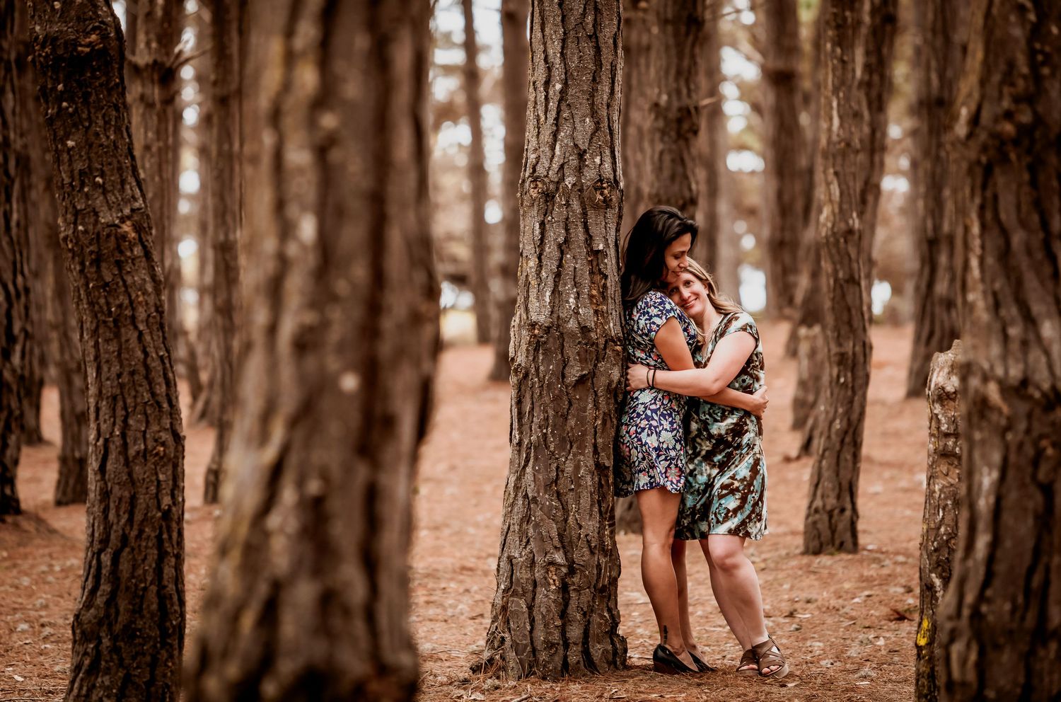 Two women share a tender embrace among tall pine trees in a sunlit forest.