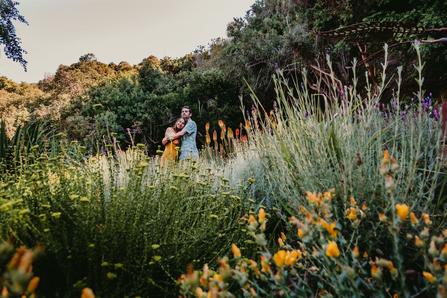 Couple embracing among wildflowers and lavender in a sunlit garden at golden hour.