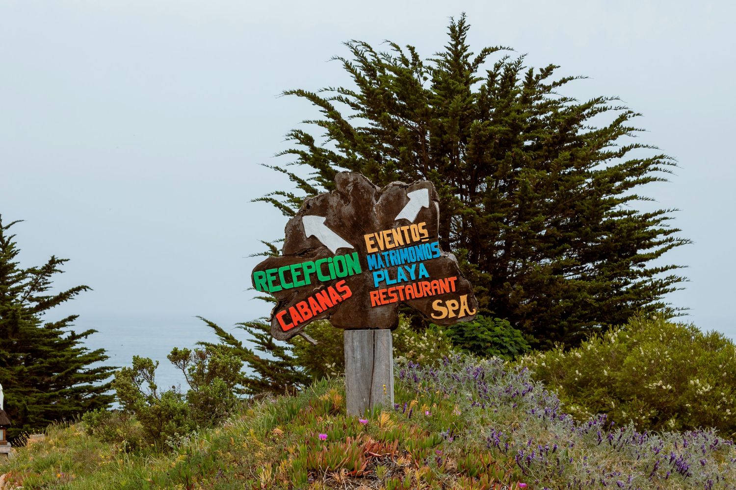 Colorful wooden directional signs for resort amenities including spa and beach.