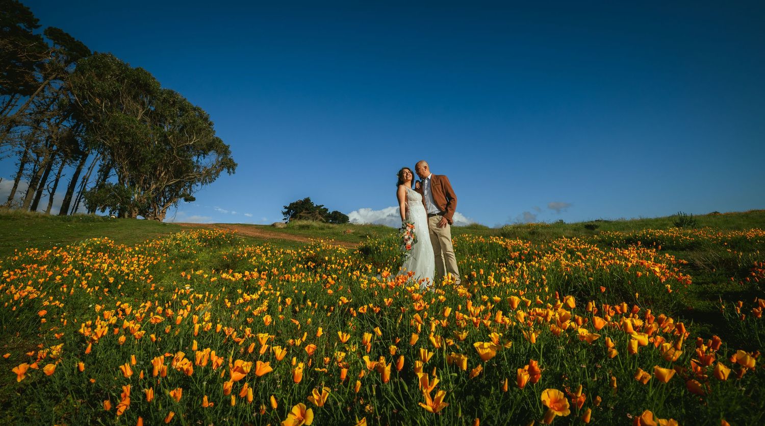 Bride and groom embrace on a hilltop surrounded by vibrant orange wildflowers under a bright blue sky, with trees in the background.