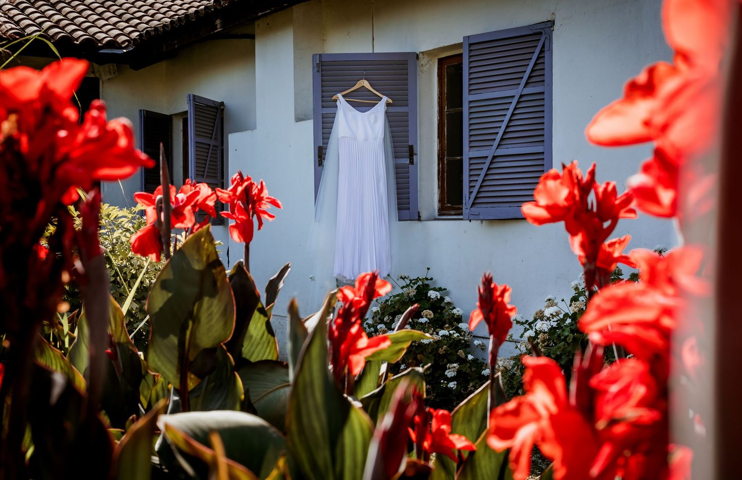 A white wedding dress hangs outdoors surrounded by vibrant red tropical flowers.