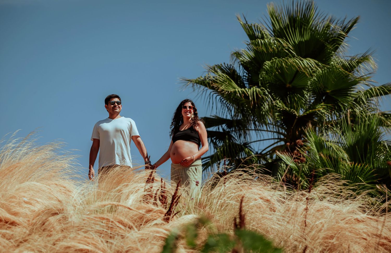 Pregnant couple holding hands walking through tall golden grass with a palm tree under clear blue sky.