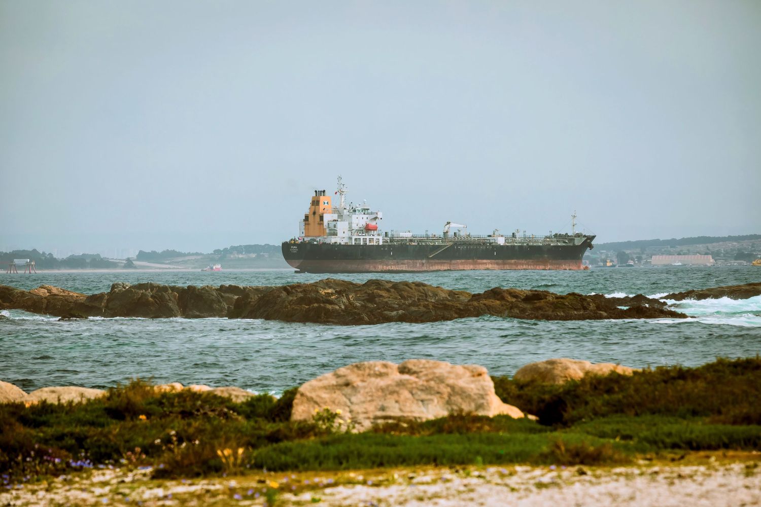 Large cargo ship sailing near rocky coastline under overcast sky with green shoreline in foreground.