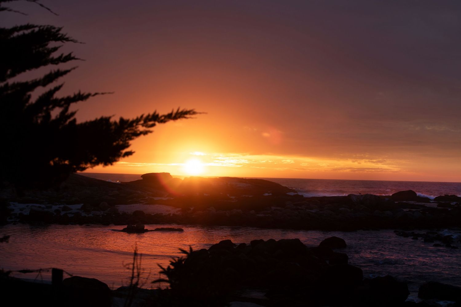 Stunning golden sunset over a rocky coastline with silhouetted cypress trees and glowing ocean waters.