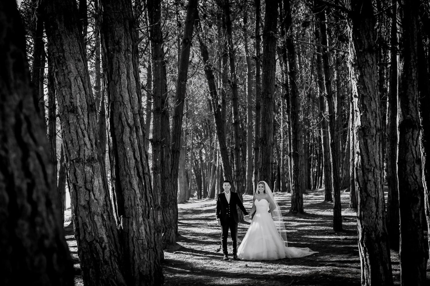 Bride and groom standing among tall trees in black and white forest wedding photo.