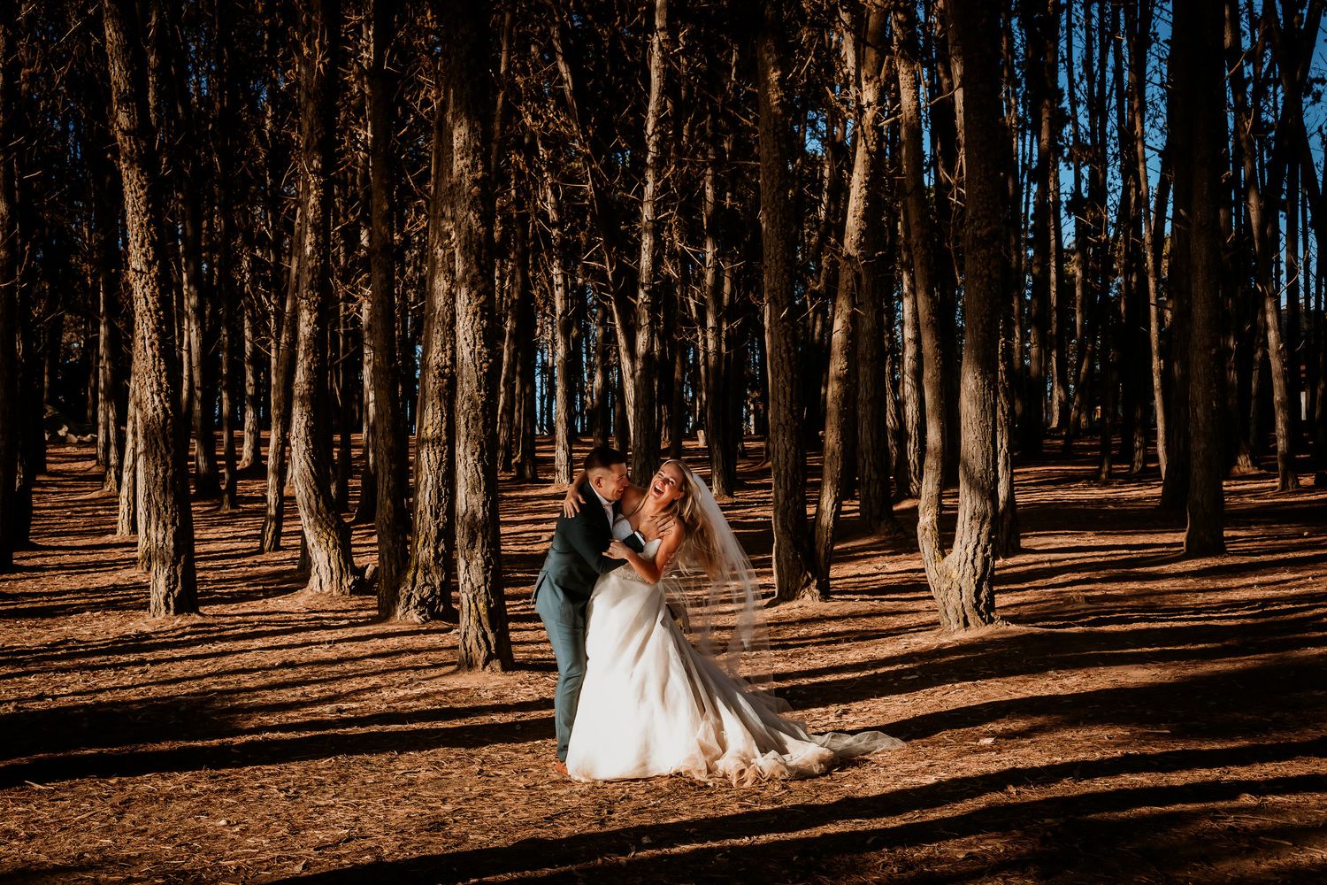 Bride and groom embracing in a sunlit pine forest with warm golden light on their wedding day.