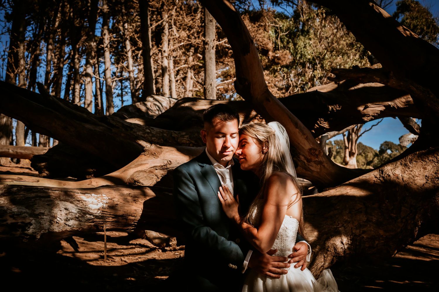 Bride and groom sharing an intimate embrace among large fallen tree roots.