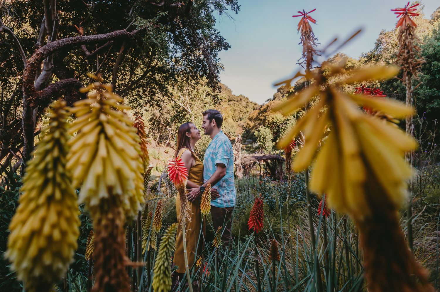 Couple standing close together surrounded by vibrant red and yellow aloe flowers in a garden.