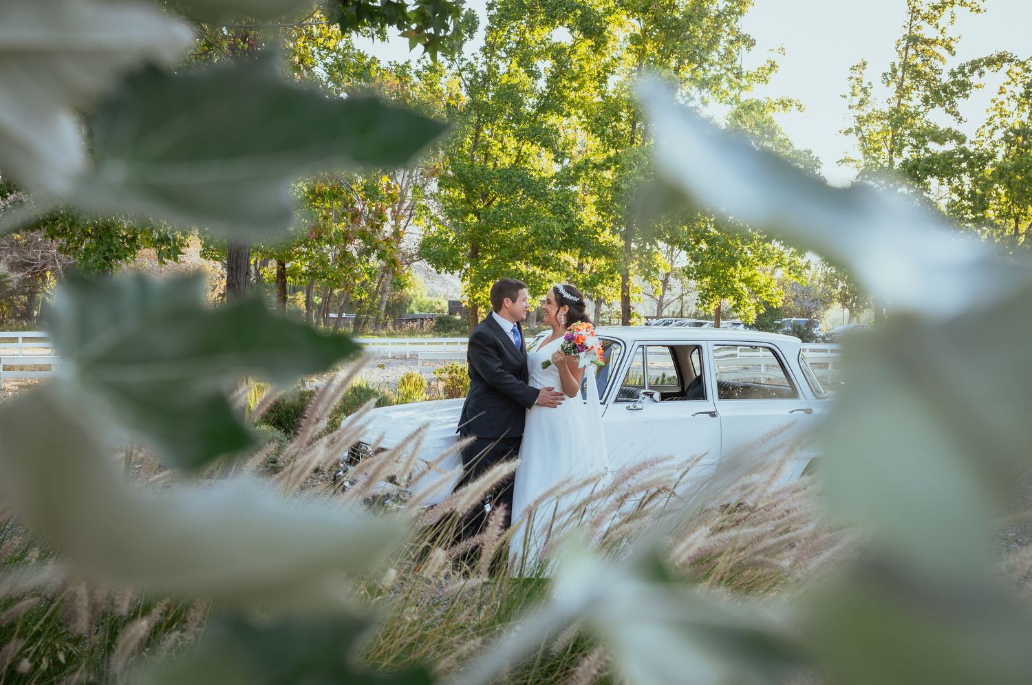 Romantic bride and groom embrace near vintage white car framed by green foliage.