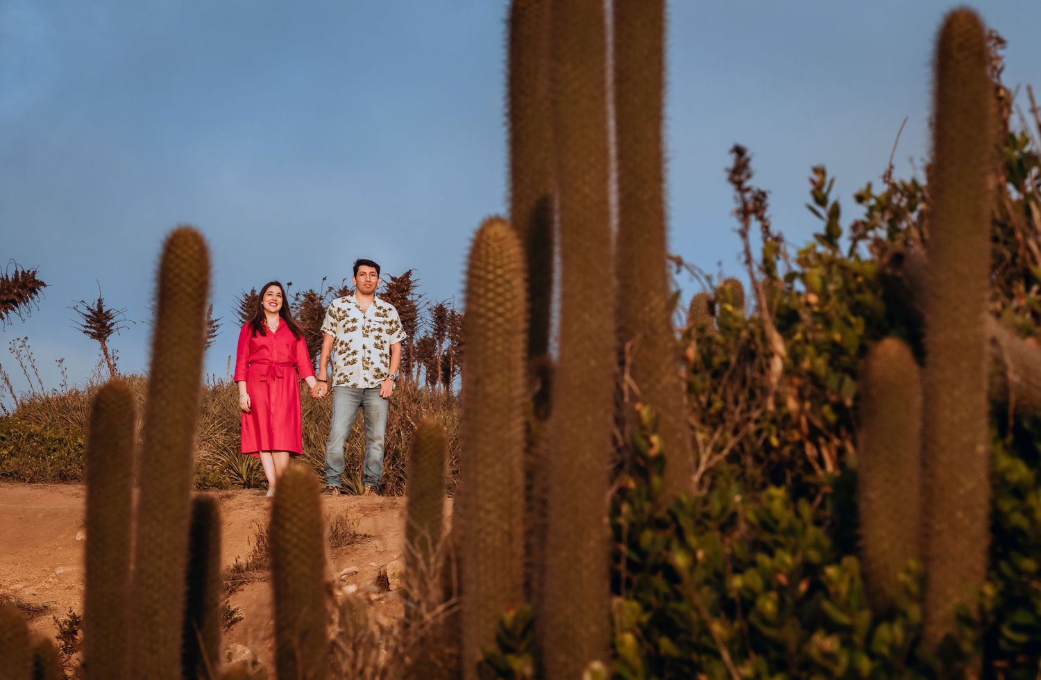 Couple holding hands among tall cacti in a desert landscape, woman in red dress, man in floral shirt, golden hour light.
