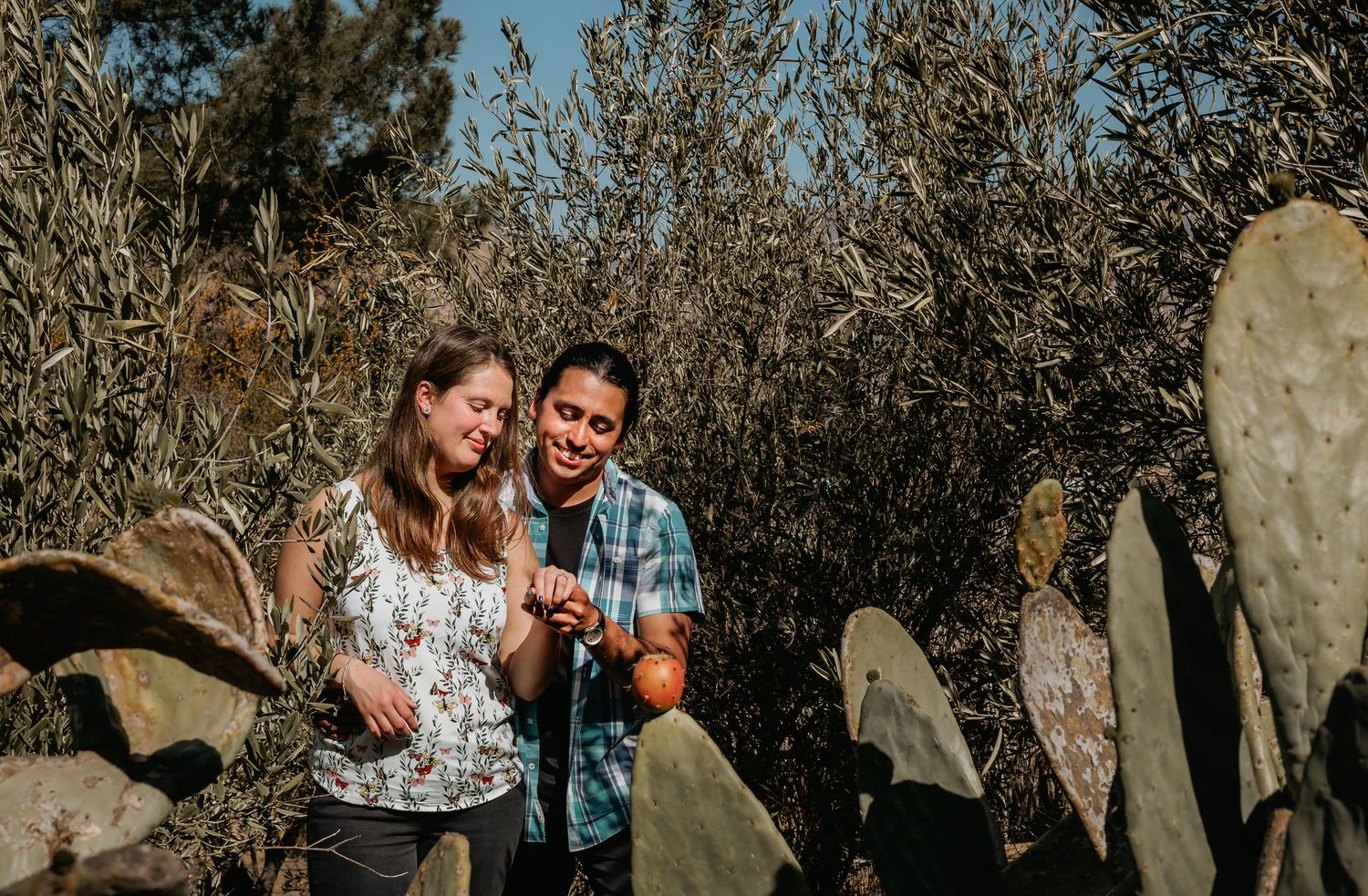 Couple examining fruit near tall cacti and olive trees in a sunny outdoor garden setting.