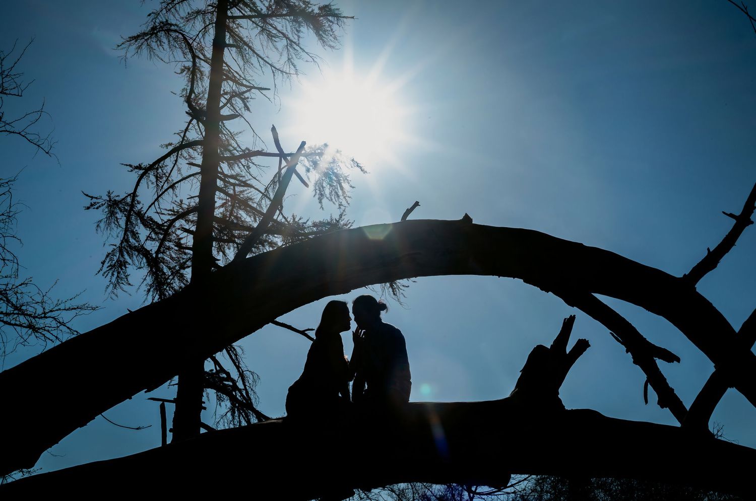 Romantic silhouette of couple sitting on fallen tree with bright sun flare against blue sky.