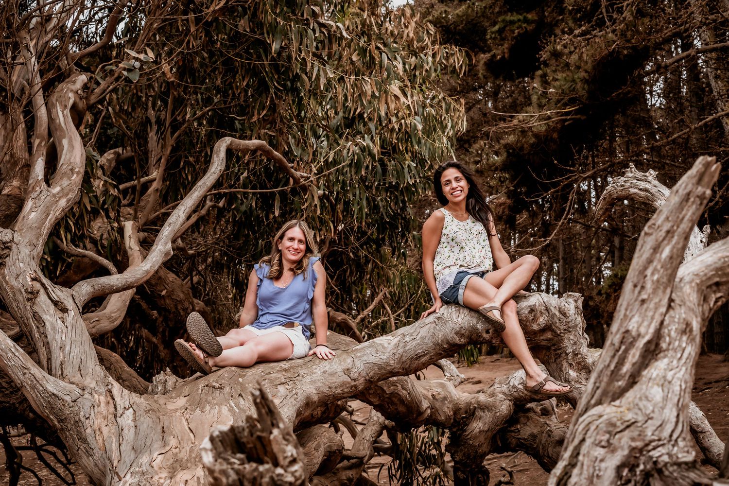 Two women sitting separately on large gnarled driftwood logs surrounded by lush trees.
