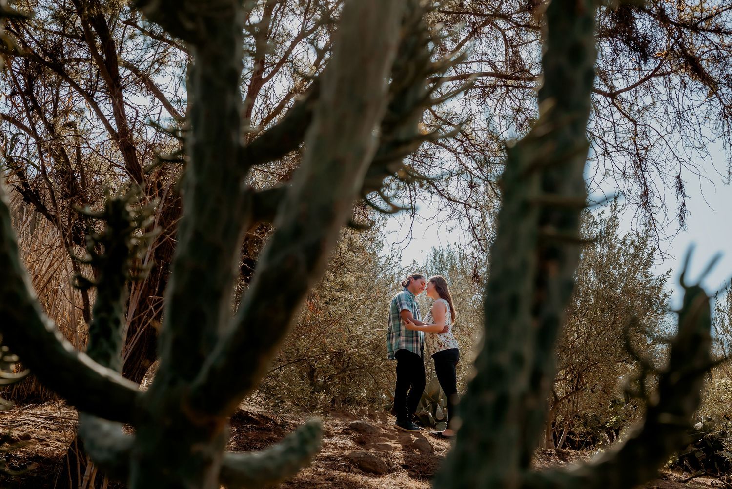 Couple sharing a romantic kiss framed by tall desert cacti in a sunny outdoor landscape.
