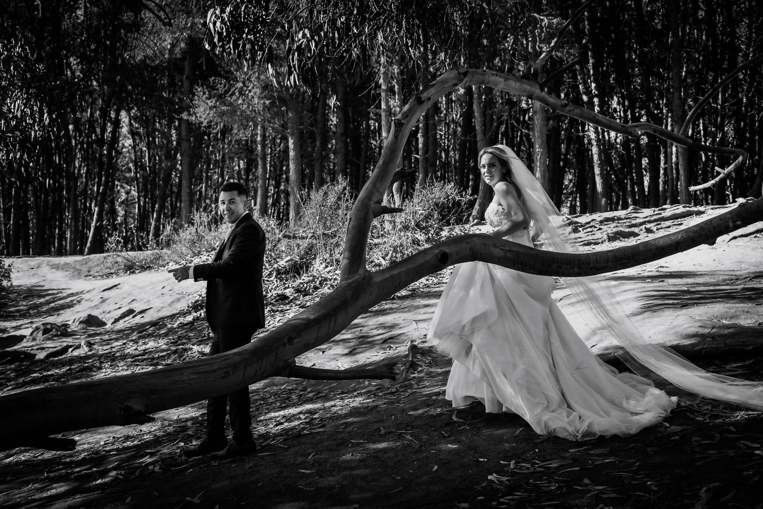 Bride sitting on a fallen tree branch with groom in black and white.