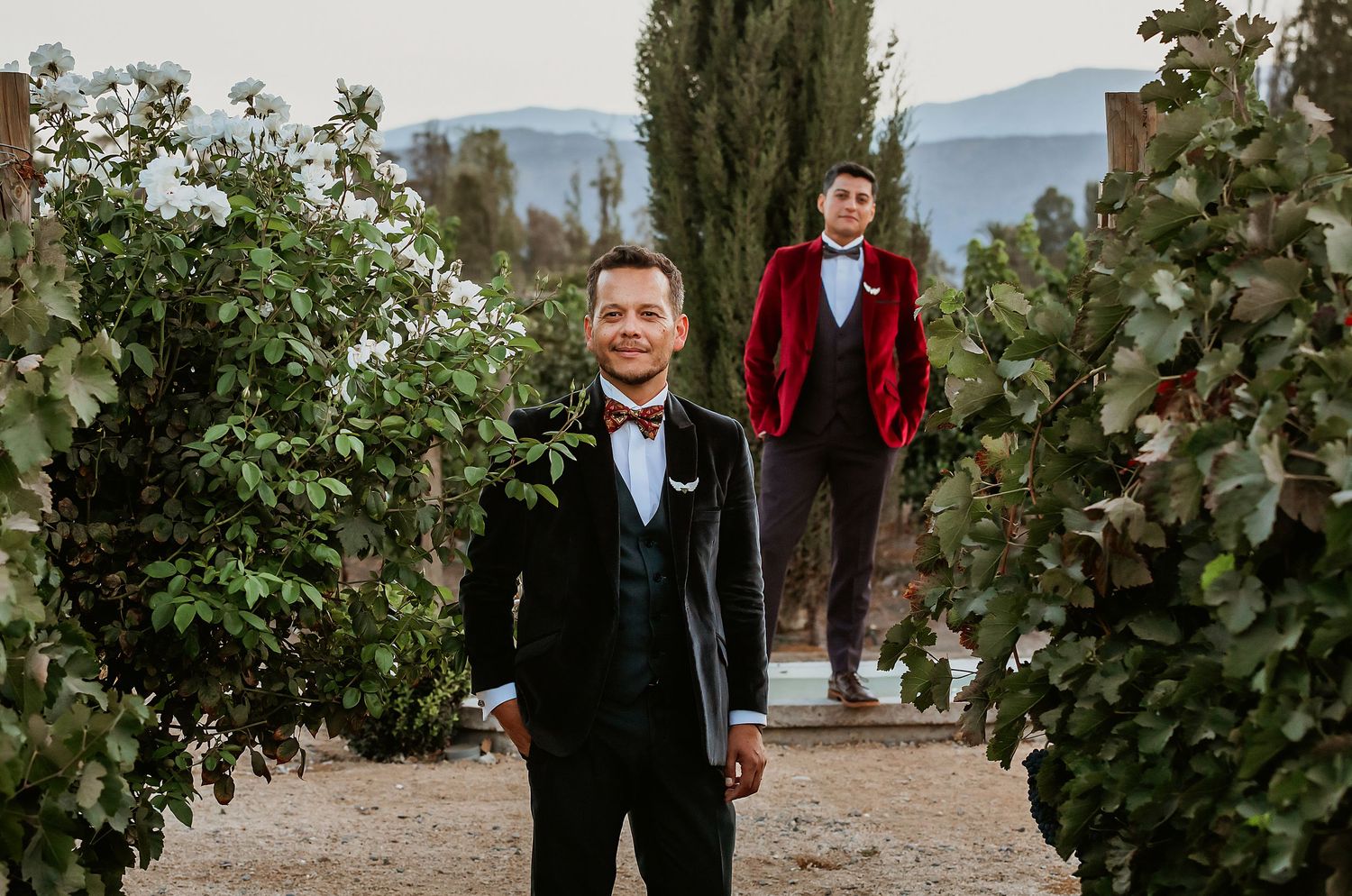 Two grooms in formal attire pose outdoors at a vineyard wedding, one in black tuxedo and one in red velvet suit.