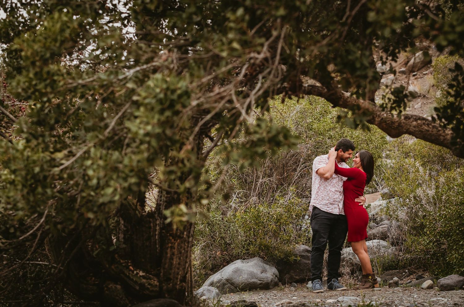 Couple embracing and kissing under scenic tree canopy on rocky outdoor trail.