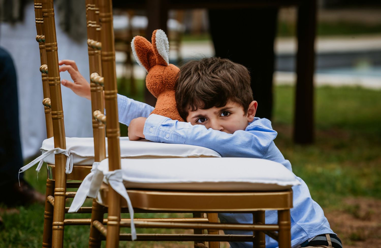Young boy resting on gold chiavari chair with stuffed bunny toy at outdoor event.