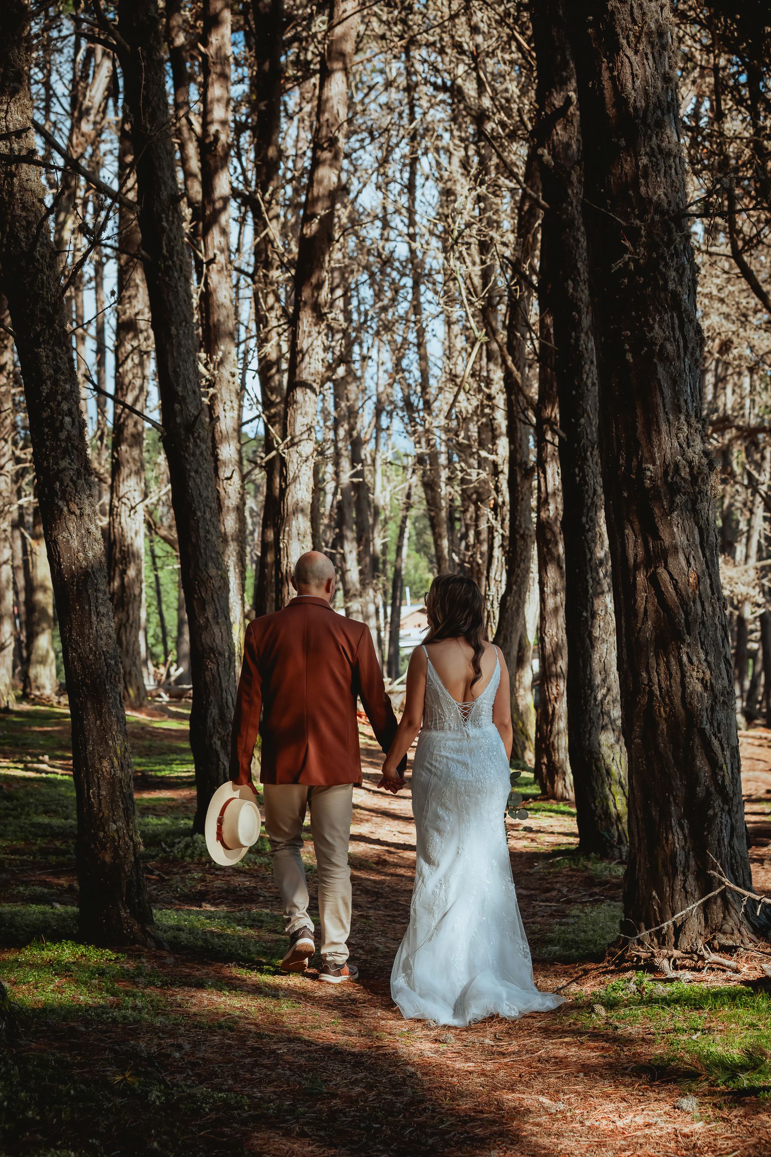 Bride in a white lace gown and groom in a rust jacket holding hands while walking away through a sunlit pine forest.