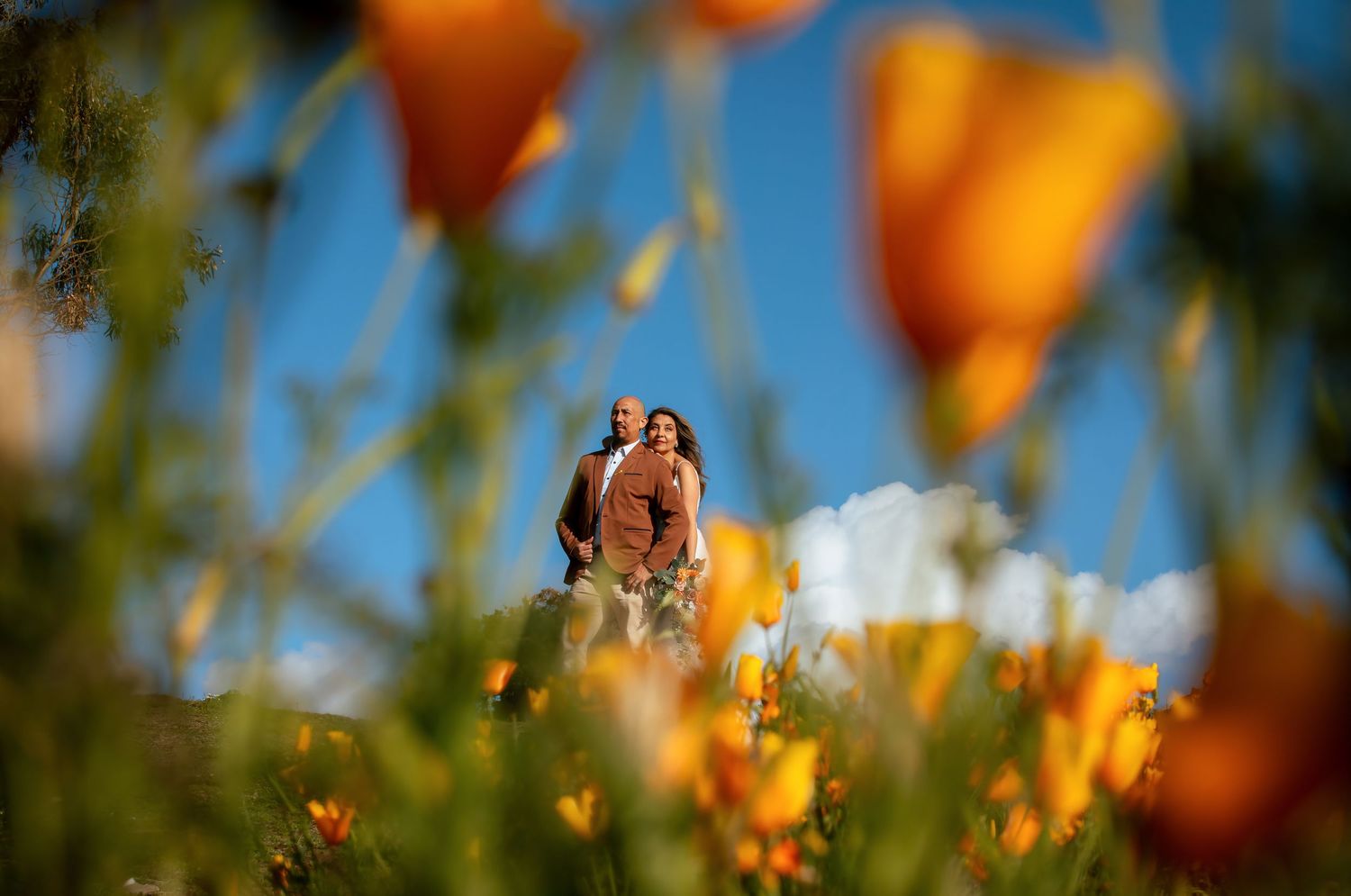 Couple embracing among blooming orange poppies in a wildflower field under a bright blue sky, framed by blurred flowers in the foreground.