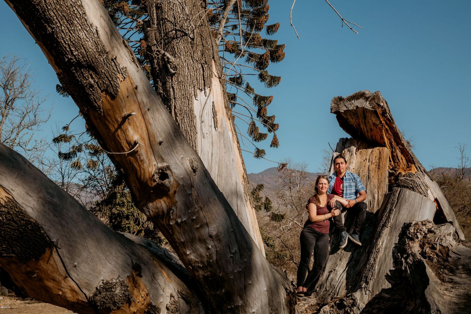 Couple leaning against a massive weathered tree trunk with mountains and blue sky behind them.