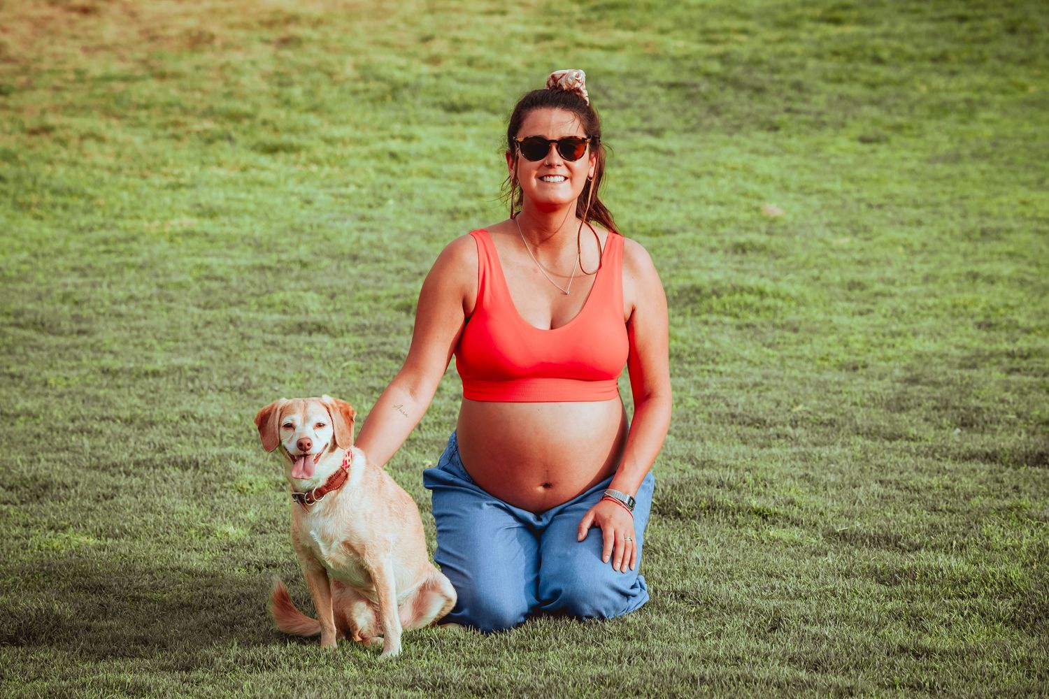 Pregnant woman in red crop top sitting on green grass with a golden Labrador dog.