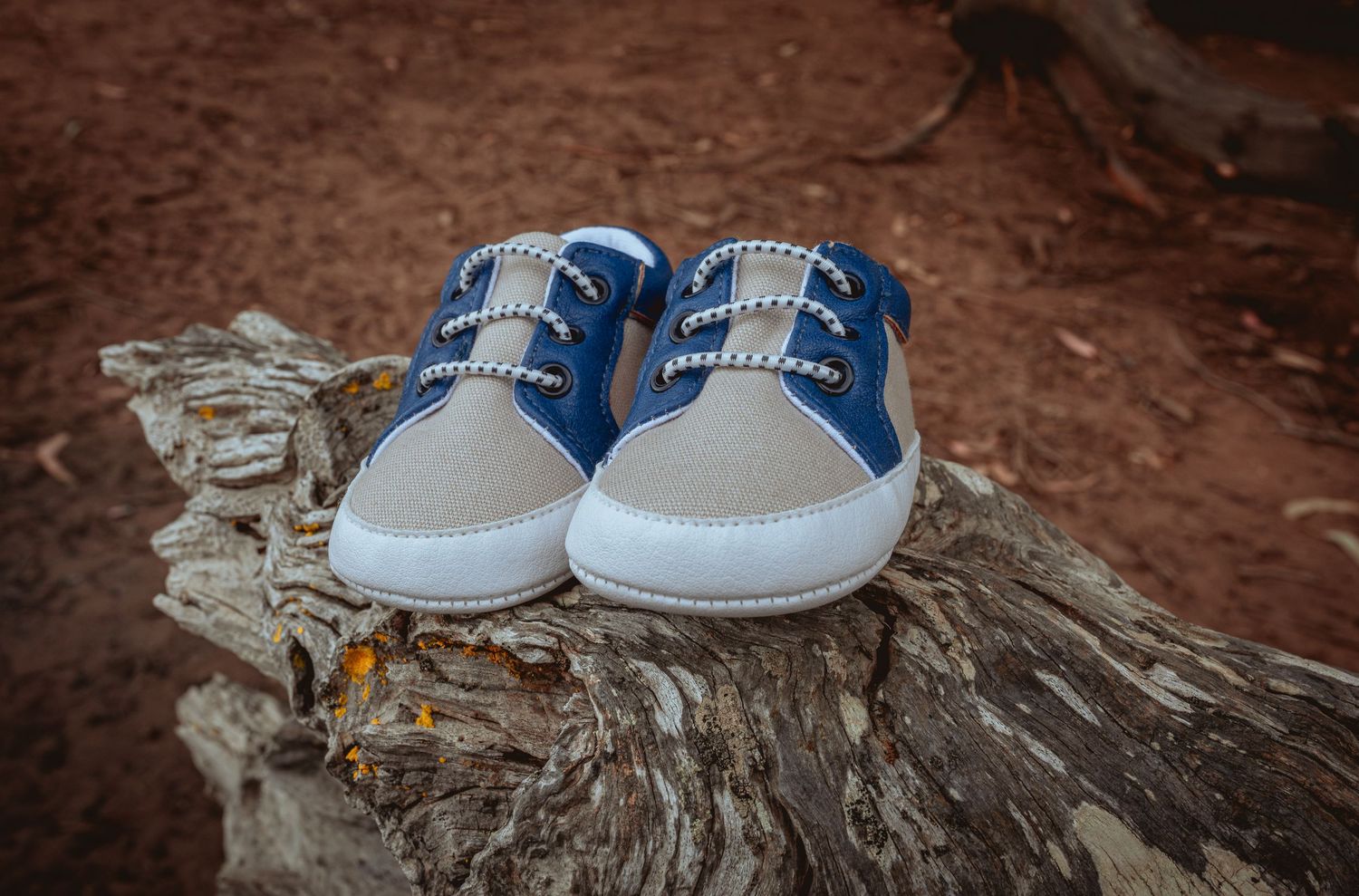 Blue and gray baby sneakers on weathered driftwood log.