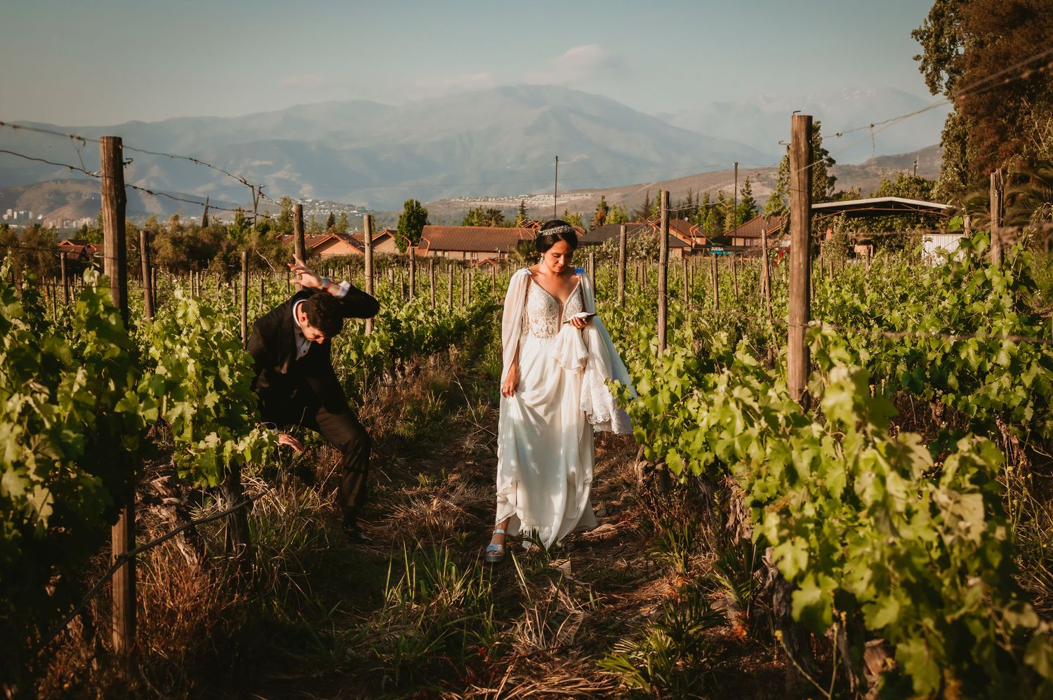 Bride walks gracefully through a vineyard in her flowing white gown as groom follows behind.