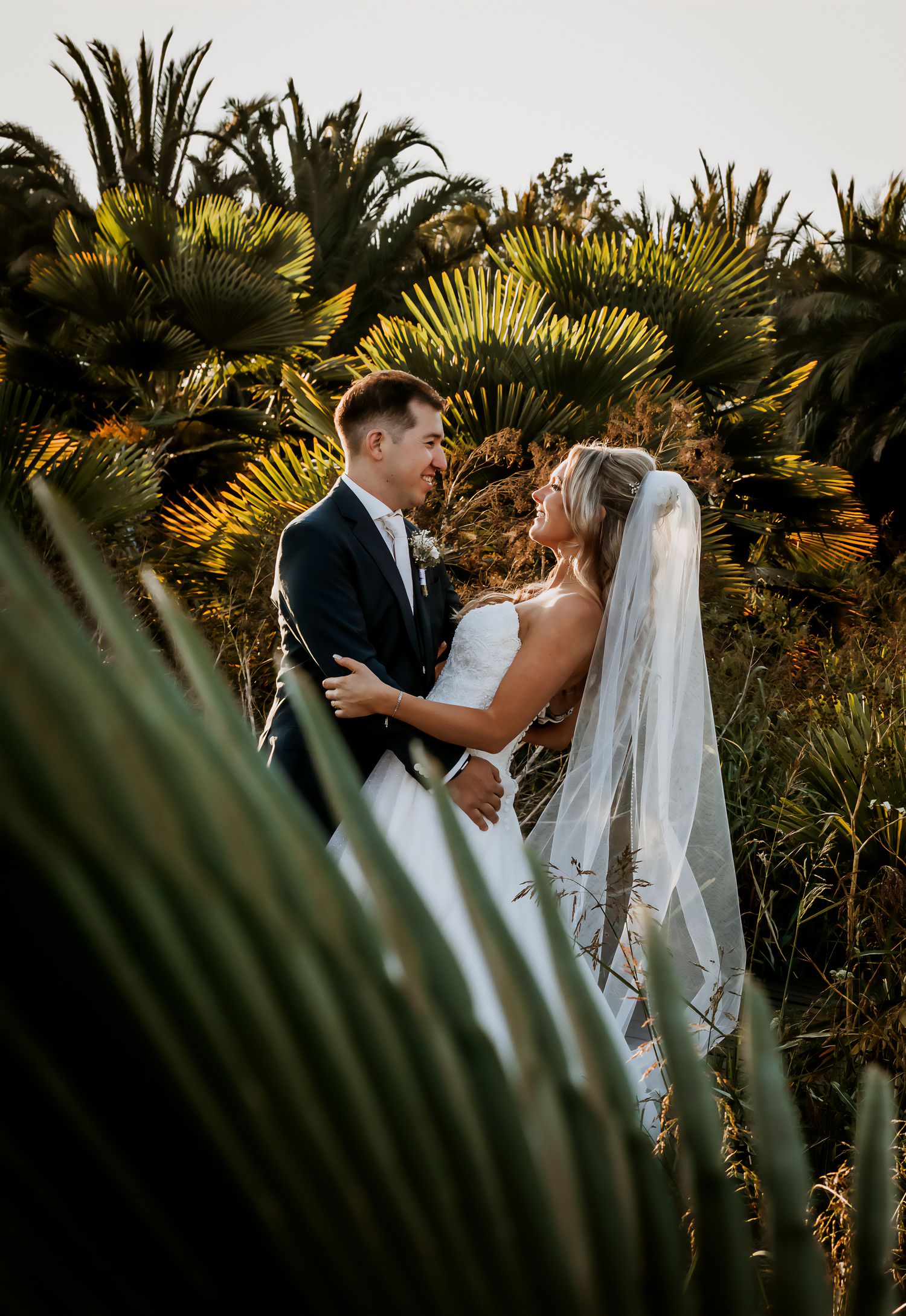 Romantic bride and groom embrace among tropical palm trees in warm golden sunset light.