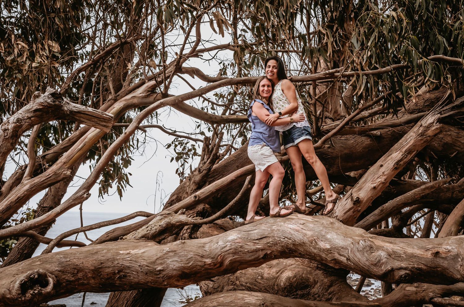 Two women hugging and smiling while standing atop a tangle of large driftwood branches.