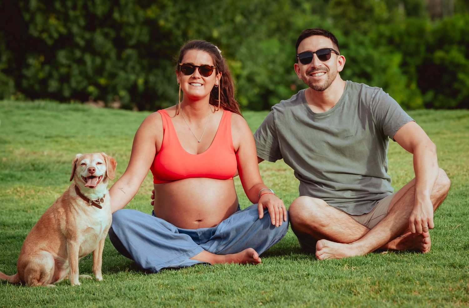 Happy pregnant couple and their golden Beagle sitting together on lush green grass in sunny park.