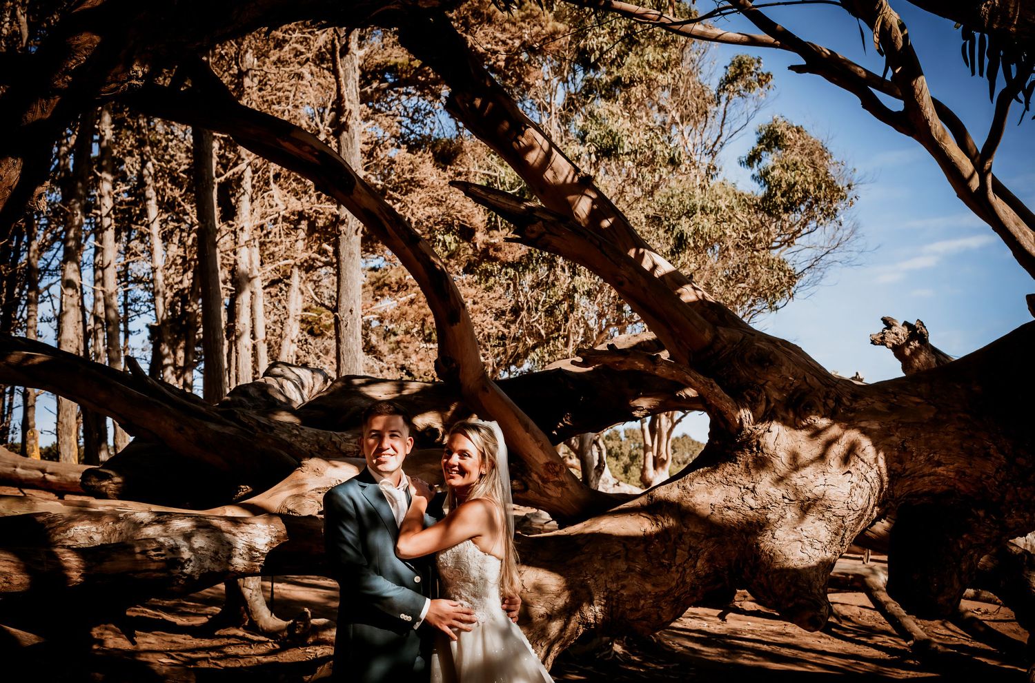 Laughing bride and groom embracing among dramatic fallen tree roots outdoors.