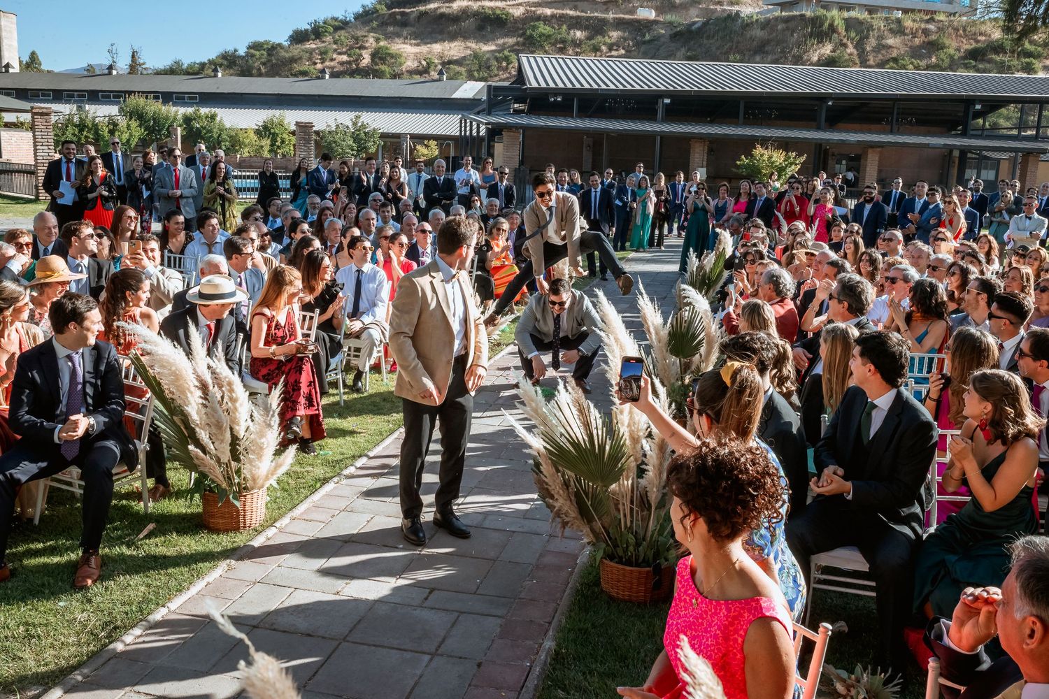 Outdoor wedding ceremony with elegantly dressed guests seated along a pampas grass-lined aisle.