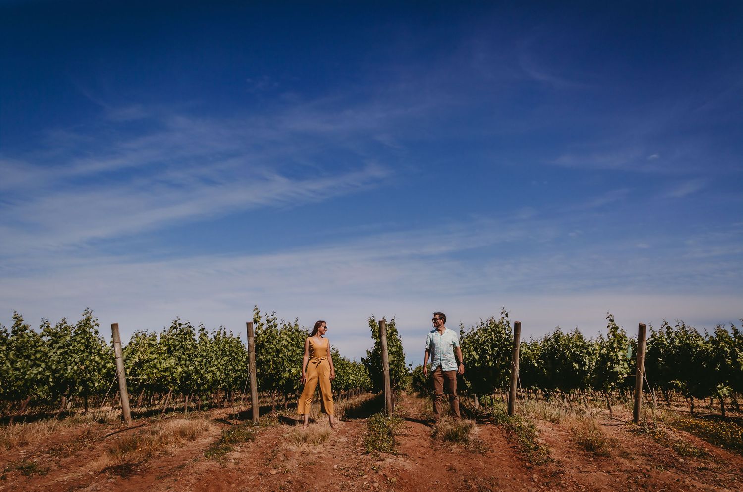 Couple walking hand in hand through lush green vineyard rows under a bright blue sky.