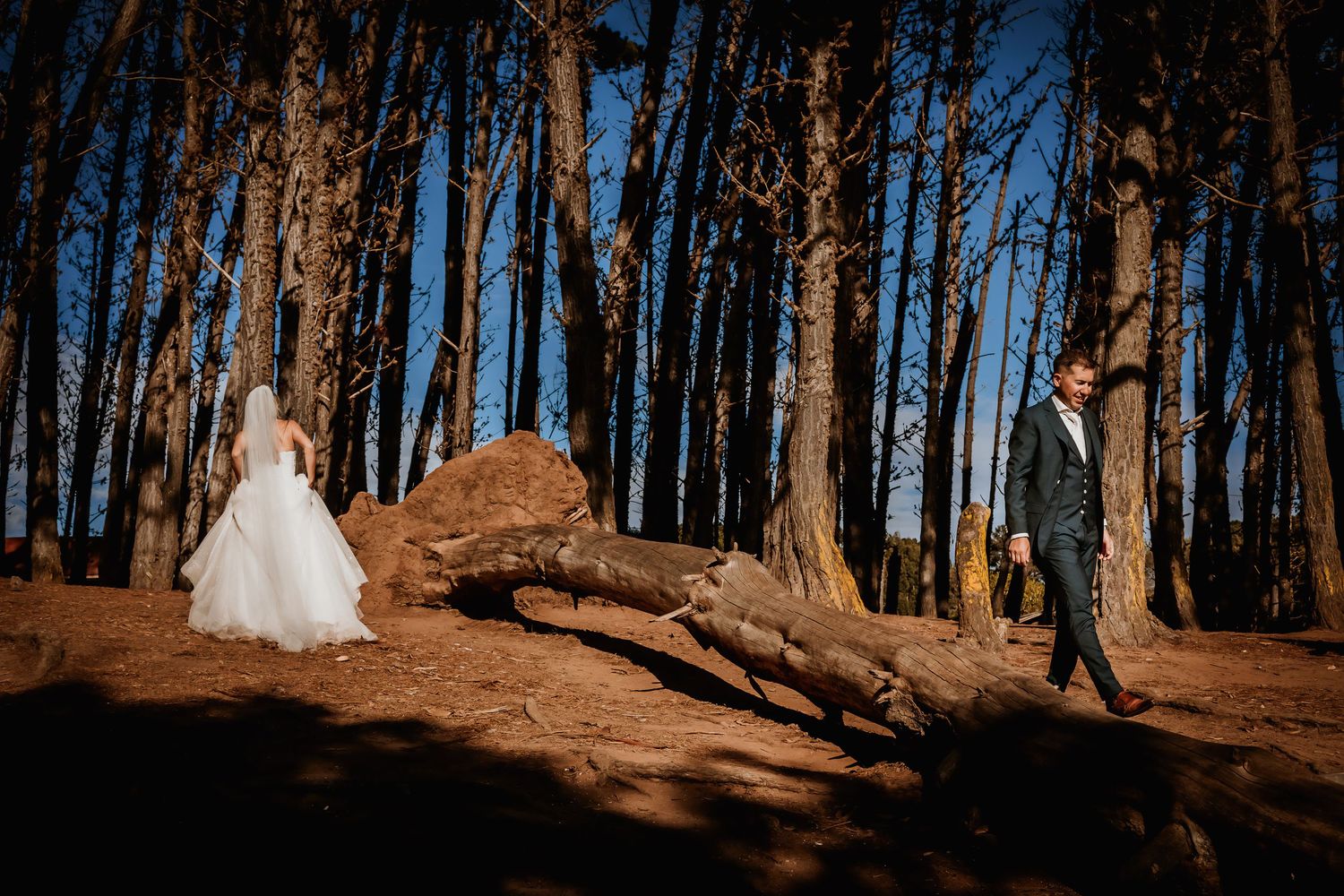 Bride and groom share a romantic moment among tall trees in a sunlit forest during their wedding photo shoot.