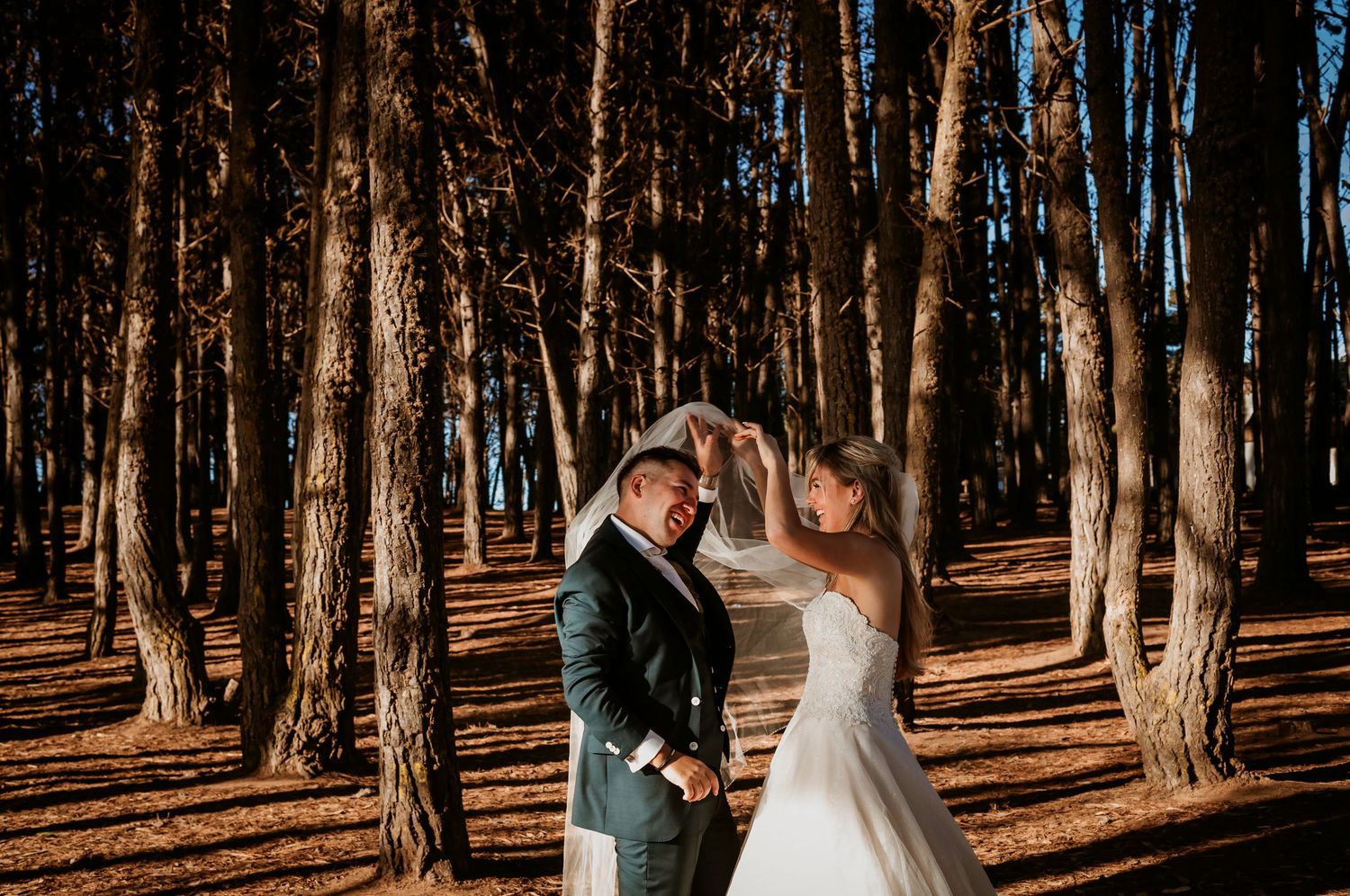 Groom lifts bride's veil overhead as they share a tender moment in a sun-drenched pine forest.
