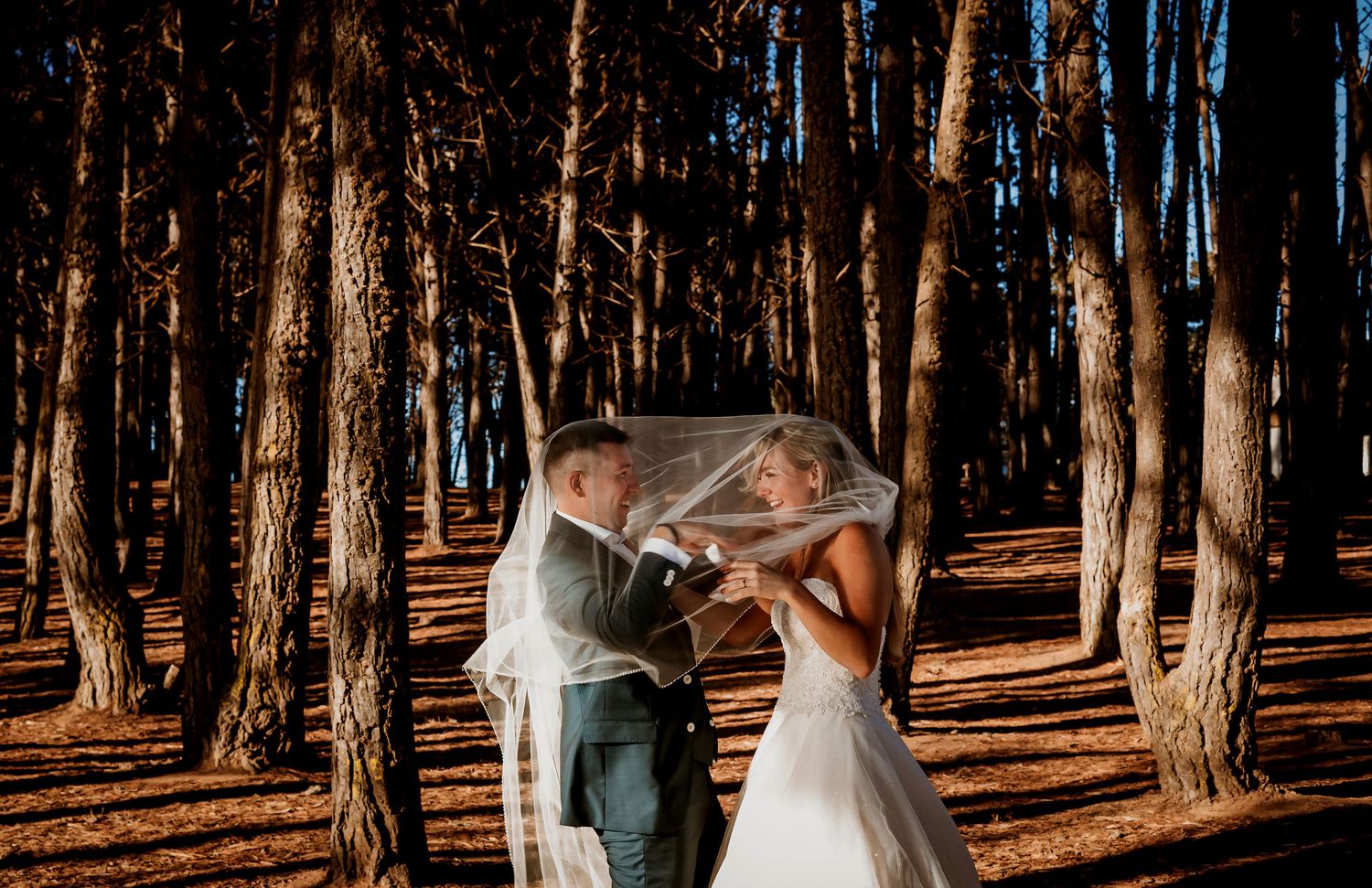 Bride and groom face each other under a flowing veil in a golden sunlit pine forest.